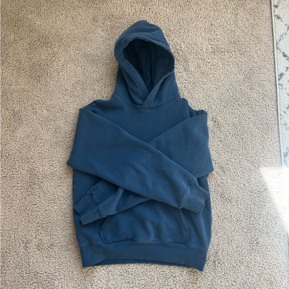 Aritzia Blue Hoodie